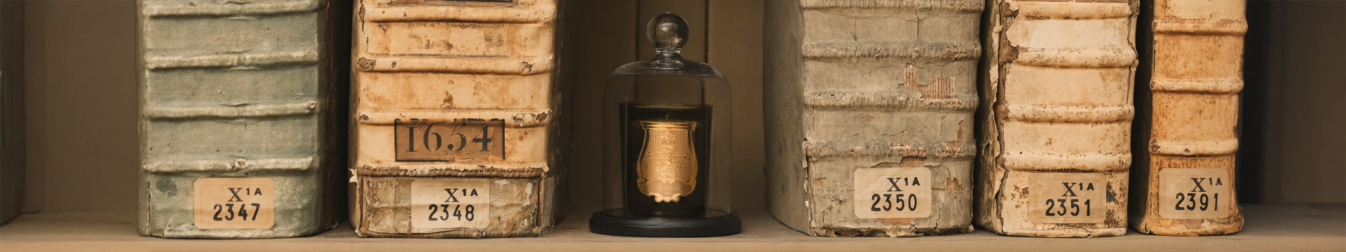 The Accessories The Accessories