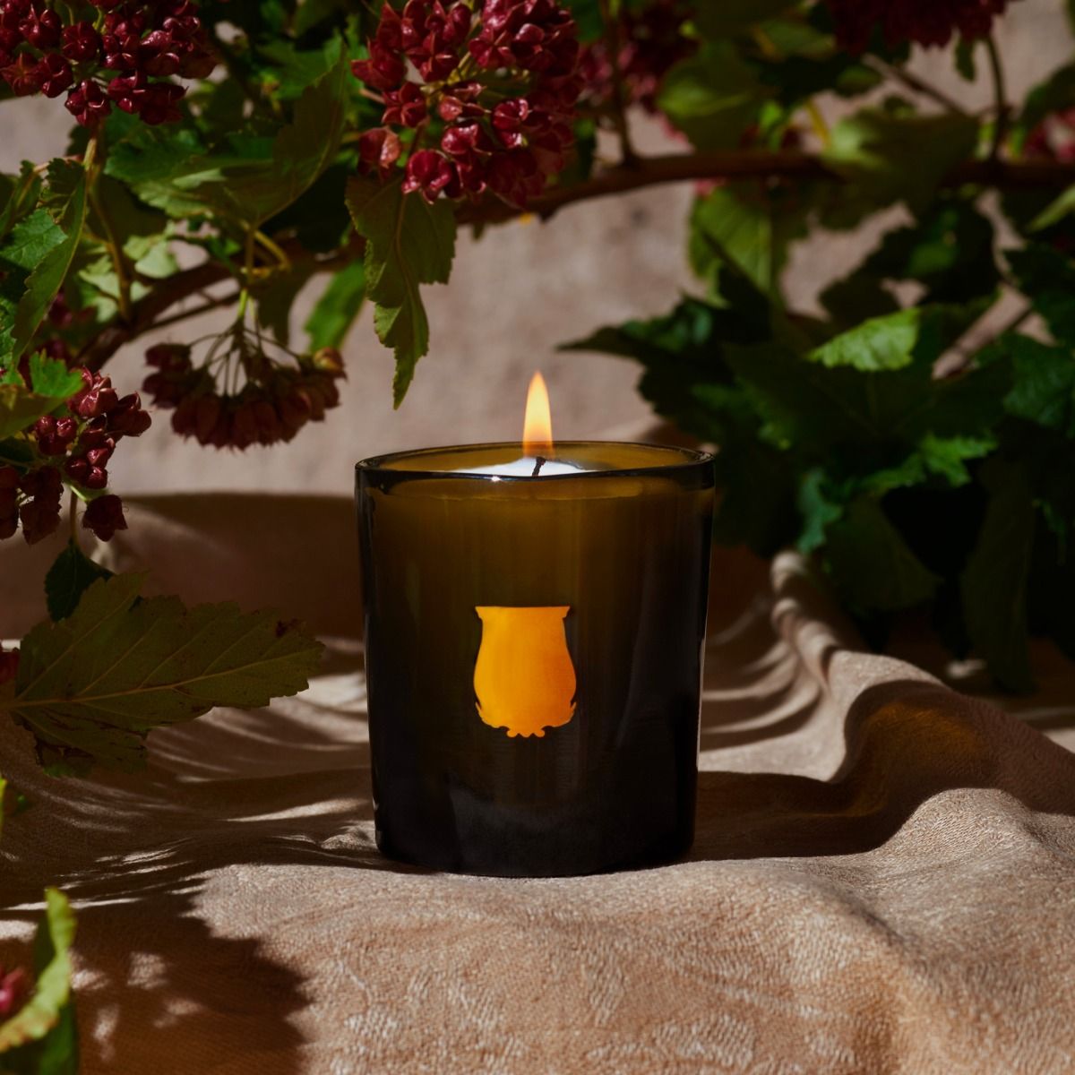 L'Admirable - Candles | TRUDON