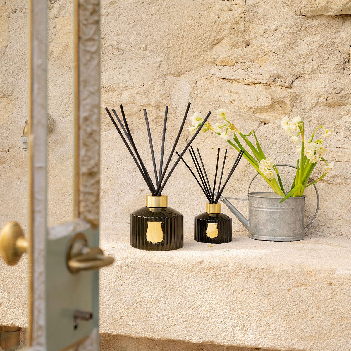 Le Diffuseur - Ernesto | TRUDON