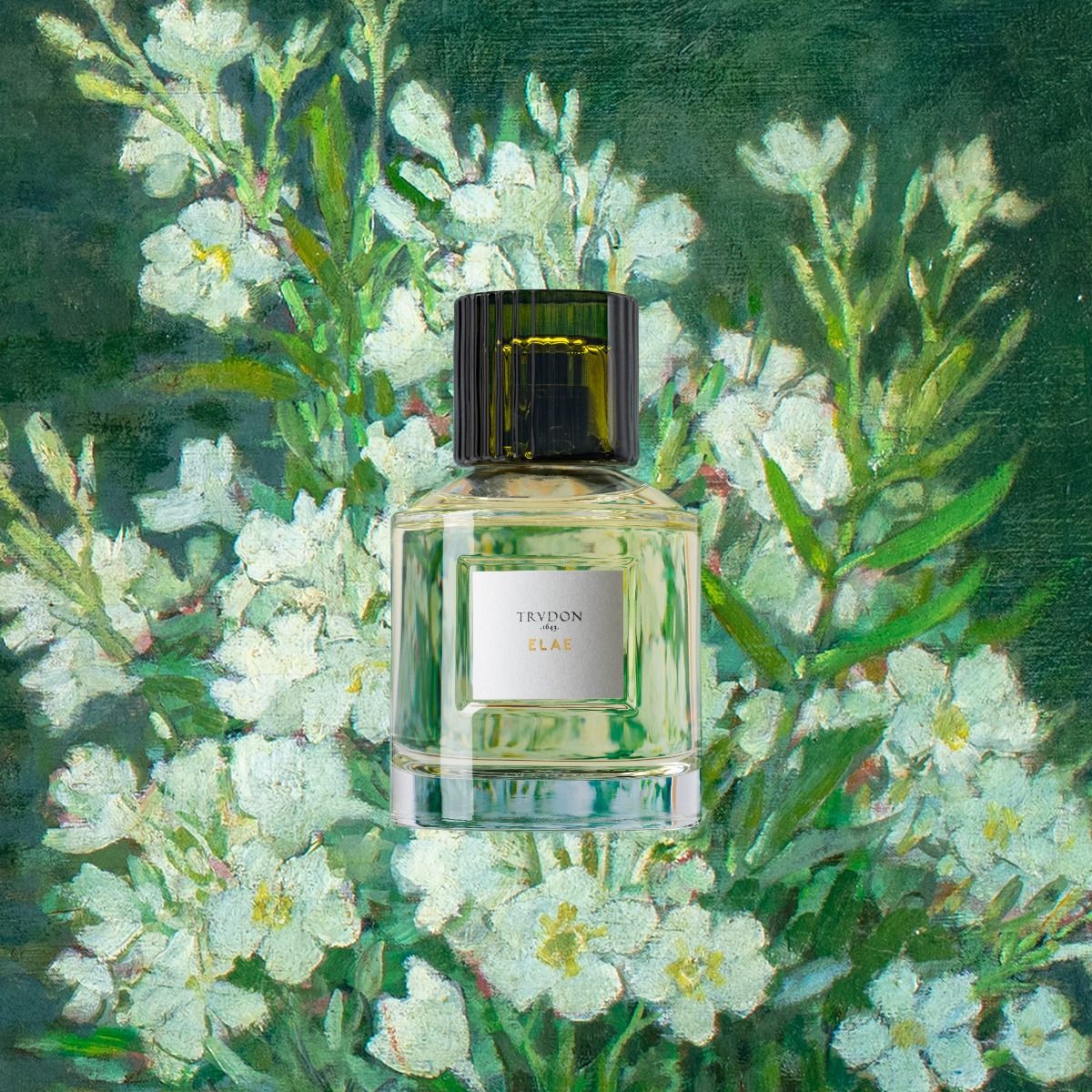 ほぼ新品 トゥルドン エラエ TRUDON ELAE Elae - Perfumes | TRUDON