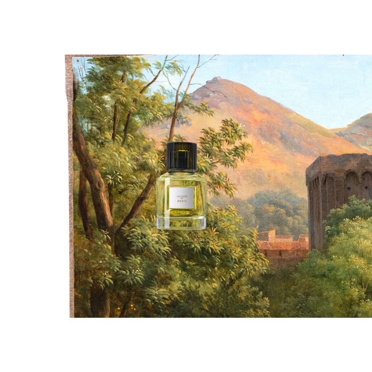 Médie - Perfumes | TRUDON