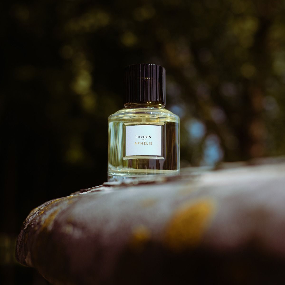 Trudon トゥルドン APHELIE アフェリー 100ml trudon_-_aphelie_1600x1600.jpg
