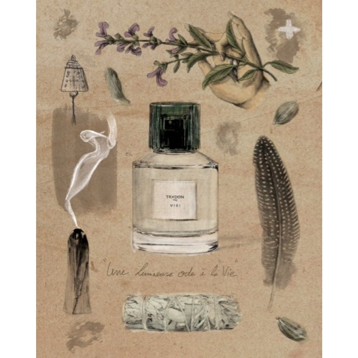 Vixi - Perfumes | TRUDON