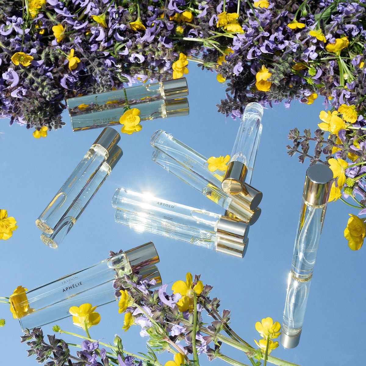 Révolution - 15 ml | TRUDON