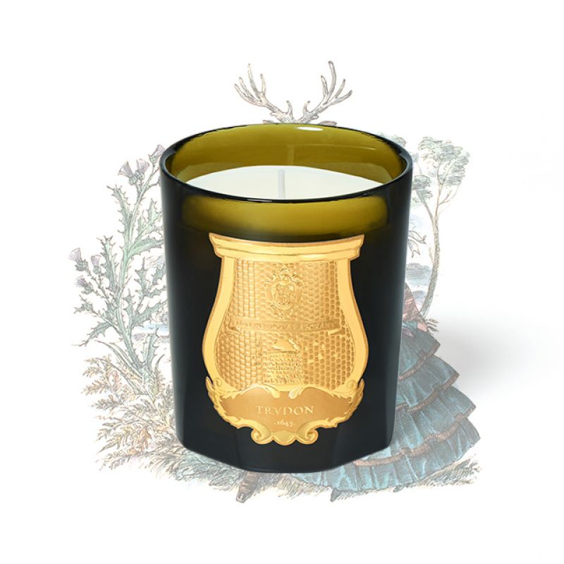 Scented candles | TRUDON