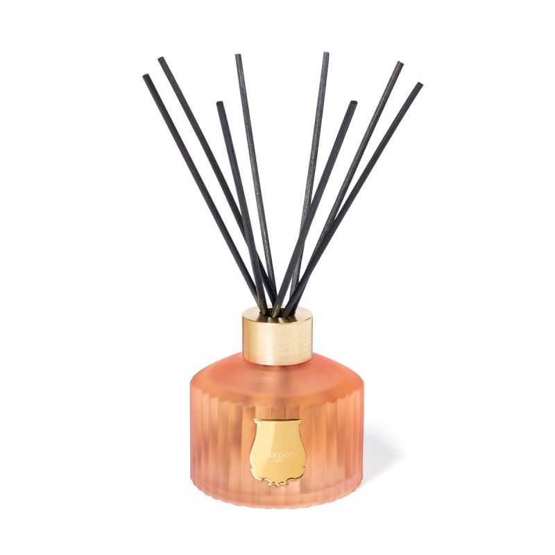 The Diffuser Tuileries