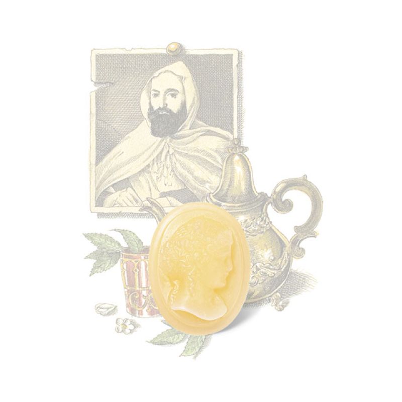 最終値下げ⚠️【新品未使用】TRUDON La Promeneuse キャンドル 最終値下げ⚠️【新品未使用】TRUDON La Promeneuse キャンドル