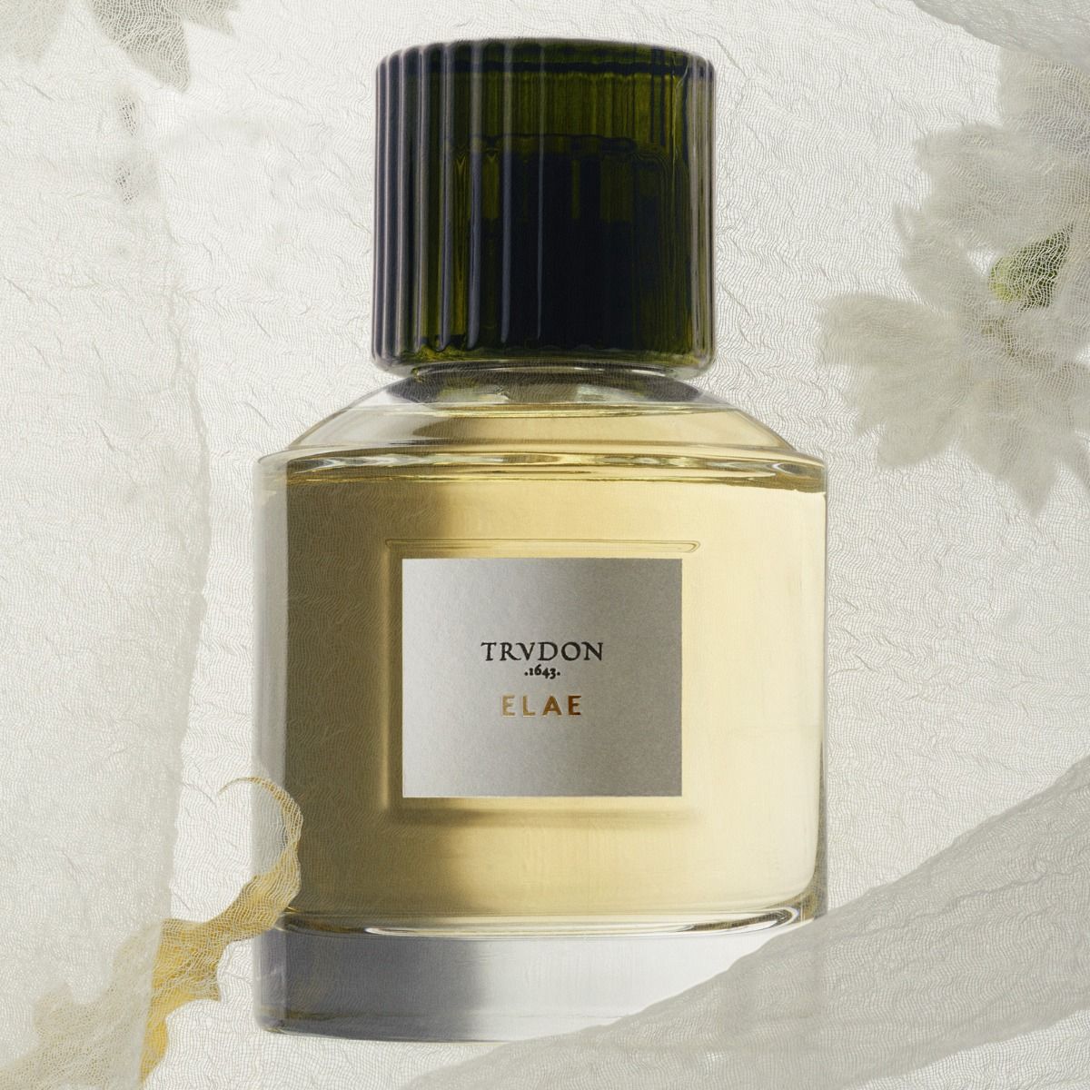 Elae - Perfumes | TRUDON