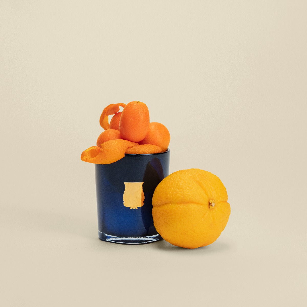 Trudon La Petite Bougie Reggio - Belles Matières collection lifestyle fulfilled with citrus