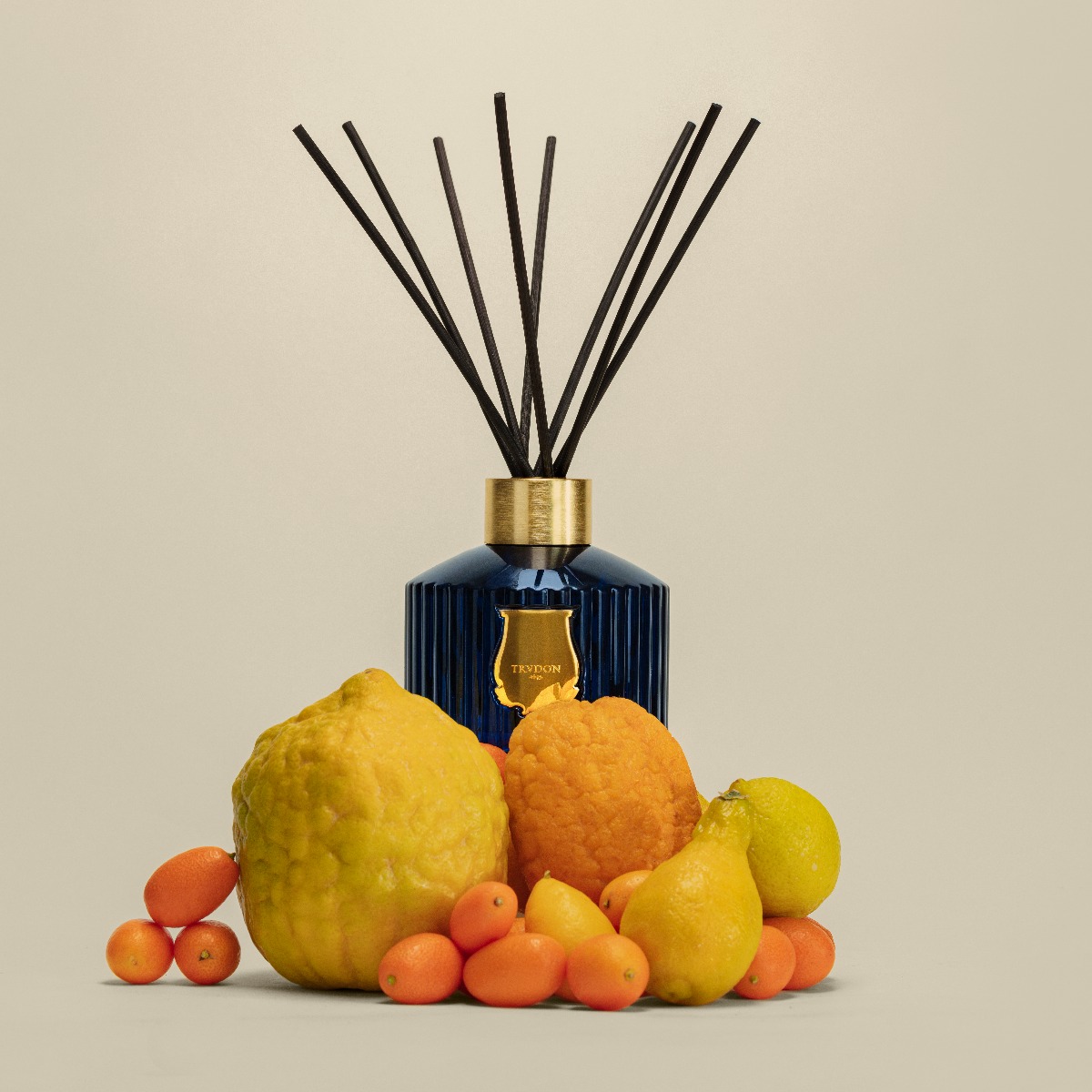 Trudon diffuseur Reggio lifestyle, posé sur une montagne d'agrumes.